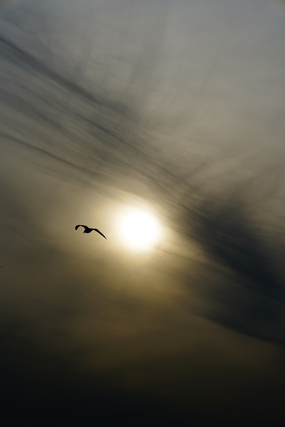 Calming Art collection