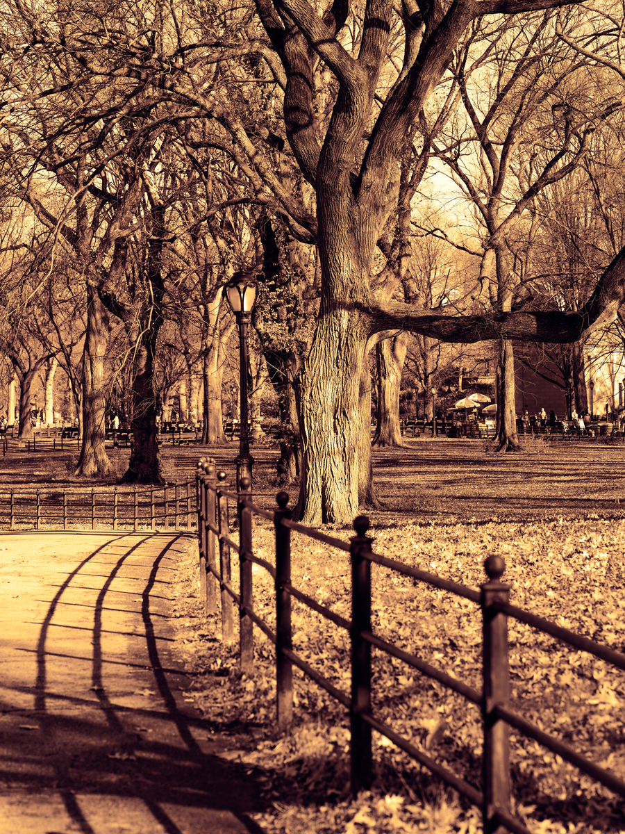 CENTRAL PARK view 1
