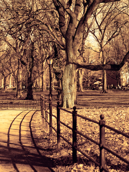 CENTRAL PARK