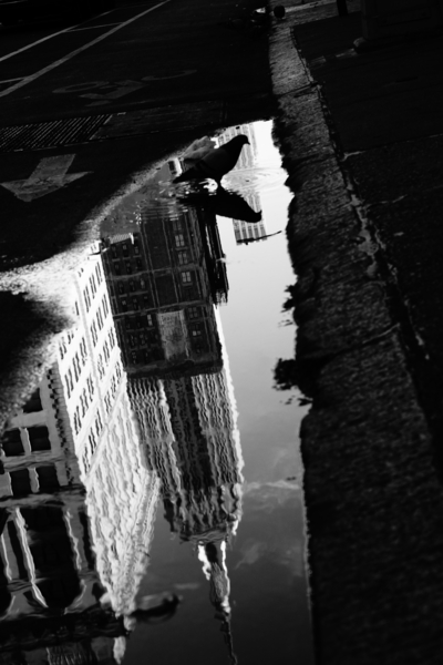 EMPIRE STATE OF MIND