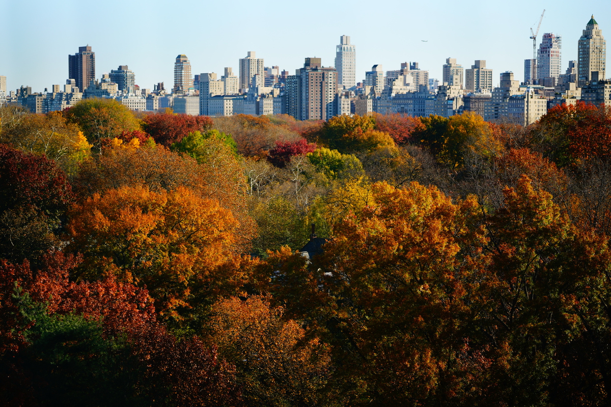 NEW YORK LEFT TO RIGHT view 1