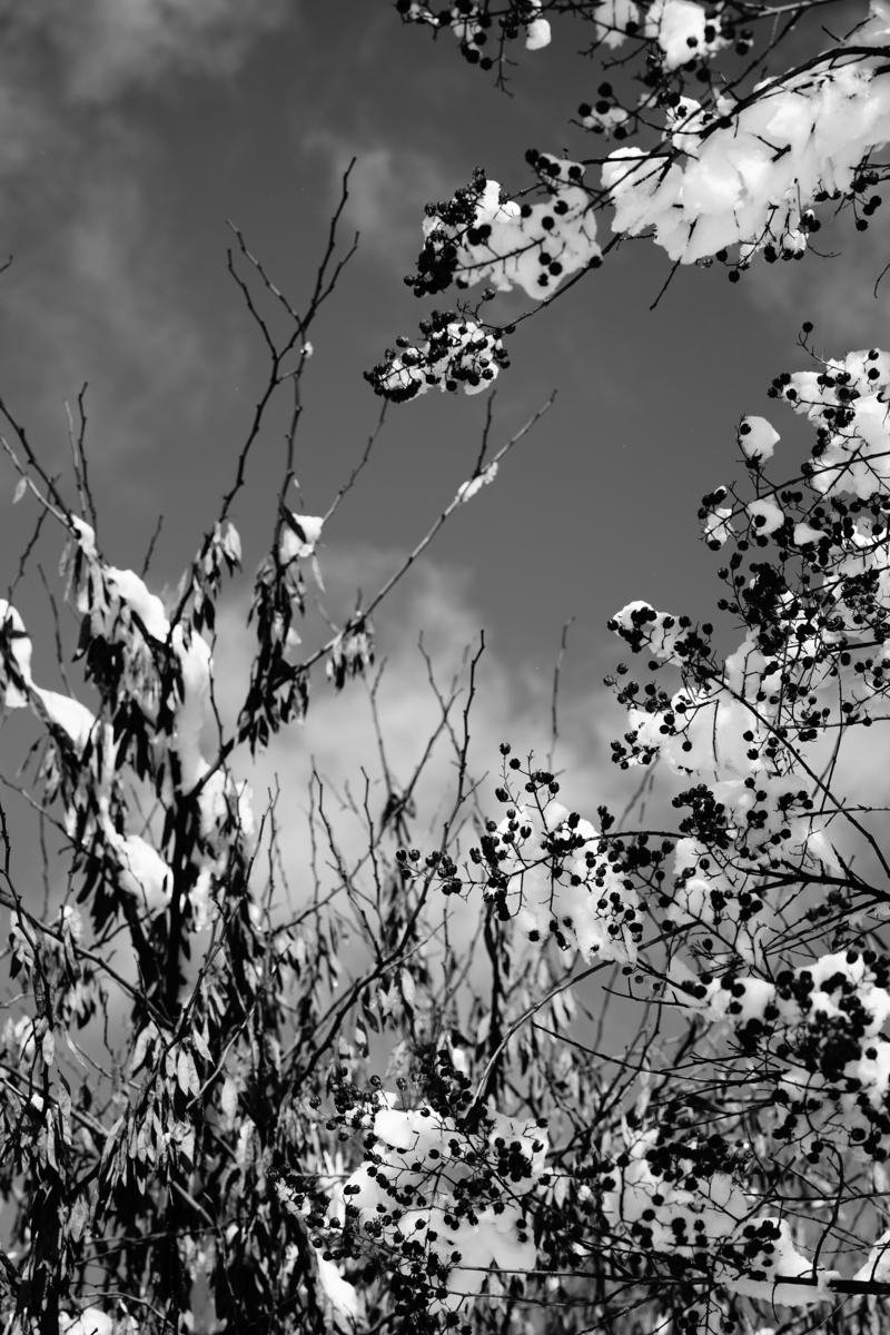 QUIET LIGHT view 1