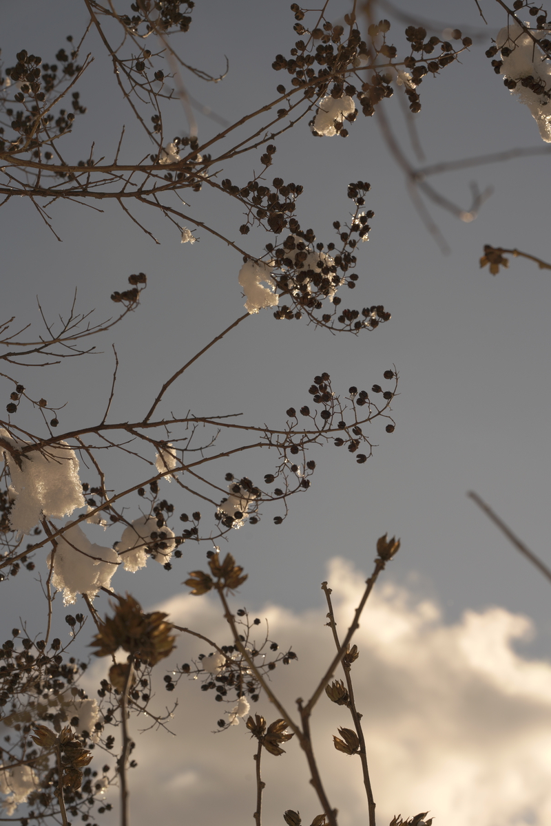 STILLNESS view 1