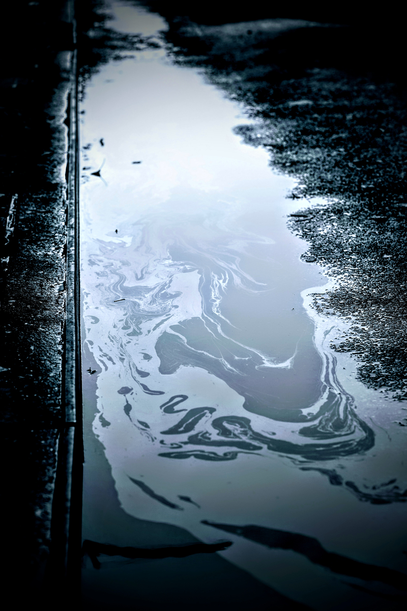 THE PUDDLE view 1