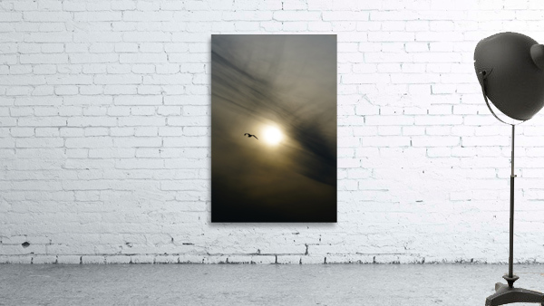 BIRD & SUN view 3