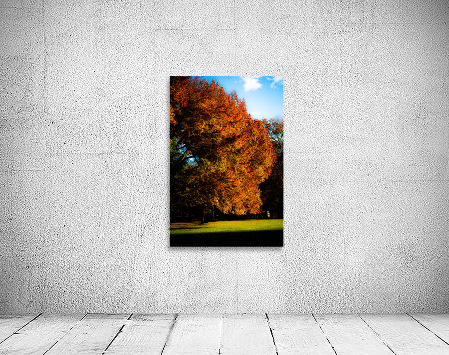 CENTRAL PARK FALL 2021 view 3