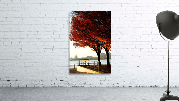 FALL BLOSSOM view 3