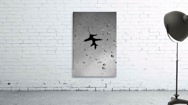 LEAF view 3