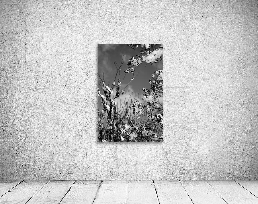 QUIET LIGHT view 3