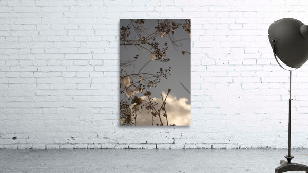 STILLNESS view 3