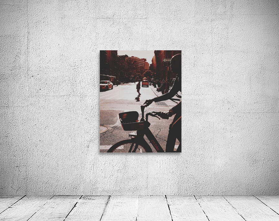 THE BIKER view 3