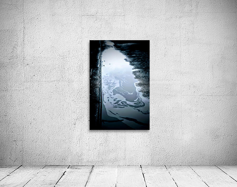 THE PUDDLE view 3