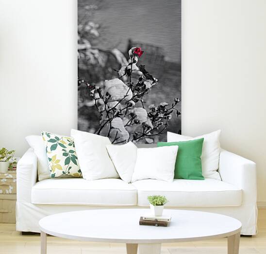 WINTER ROSE view 2